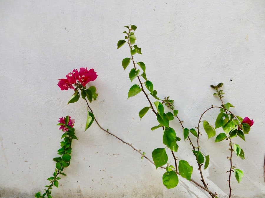 Photo flower wall decals