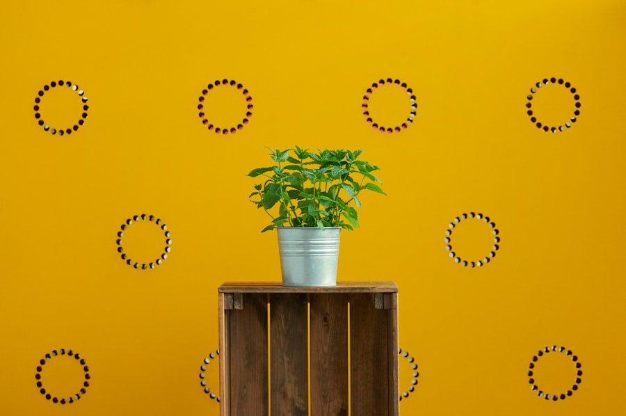 Photo wall decals