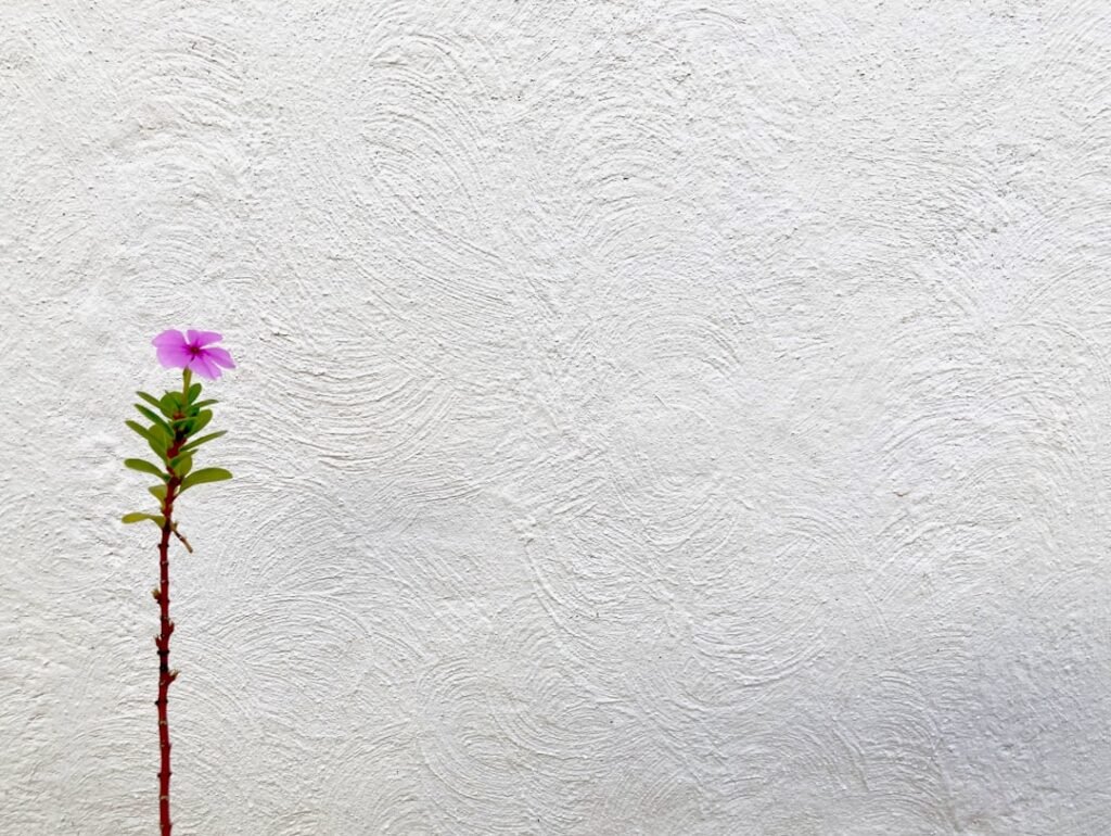 Photo flower wall decals