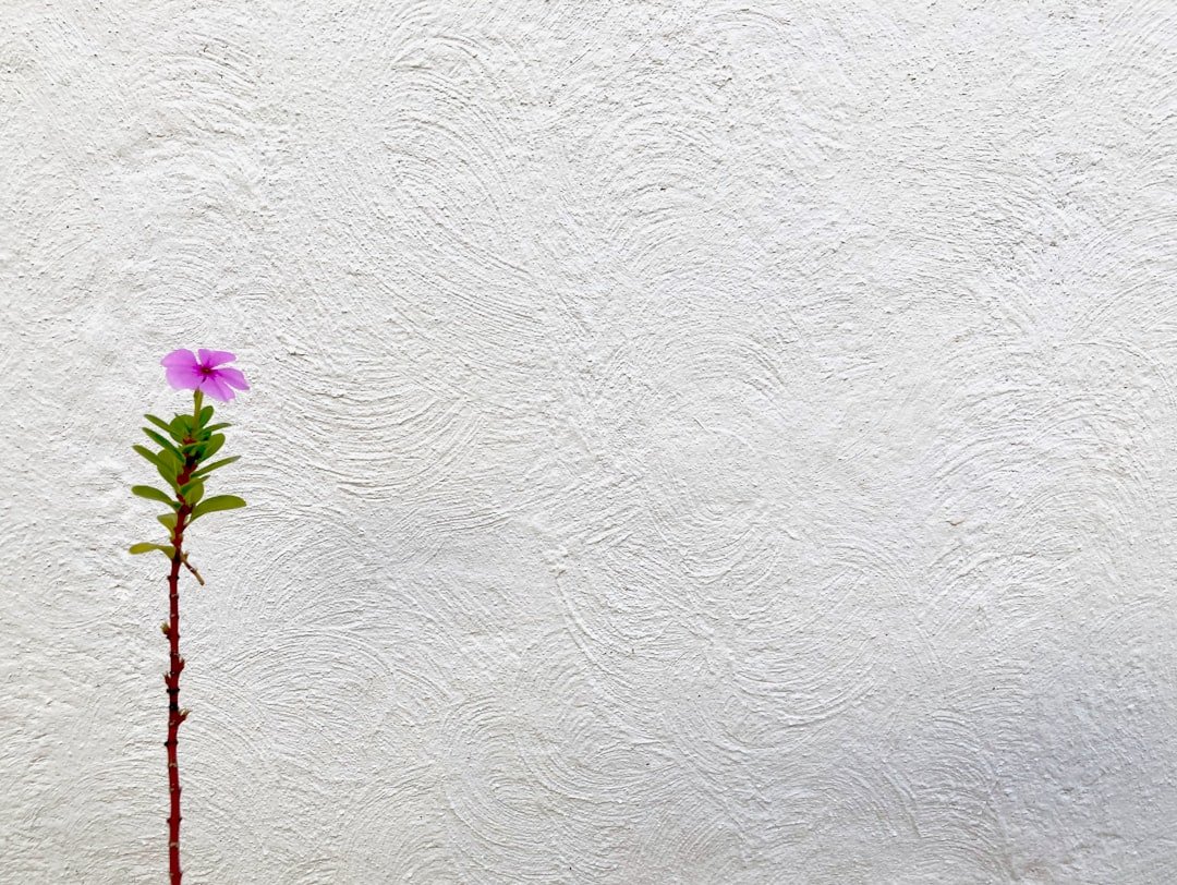 Photo flower wall decals
